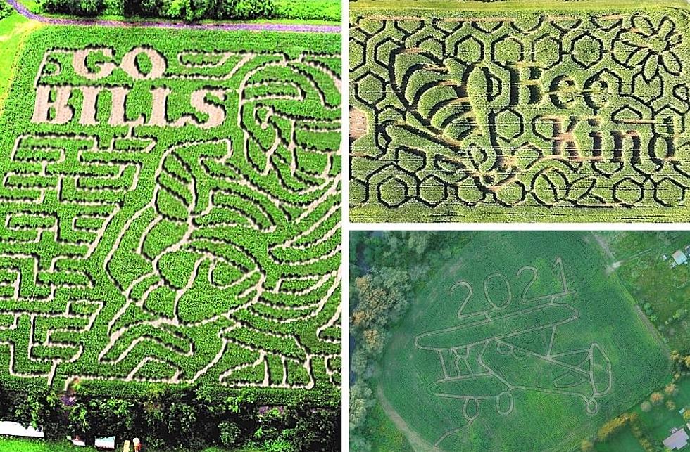 Get Lost in 14 Elaborate Corn Mazes in Central New York and Beyond