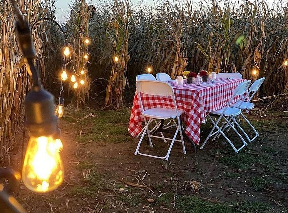 Have Dinner in a Miraculous Corn Maze in CNY That Gained National Attention