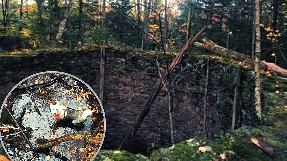 Heroes Rescue Dog That Fell Into Large Well in the Catskill Mountains