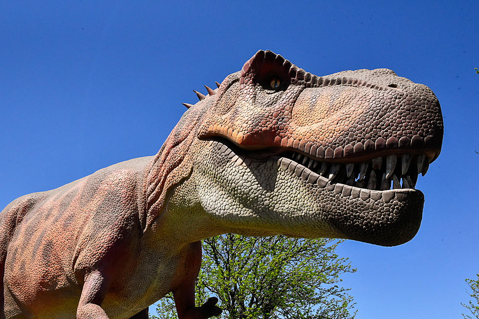 See Lifelike Dinosaurs When They Roar Into Boonville This Weekend