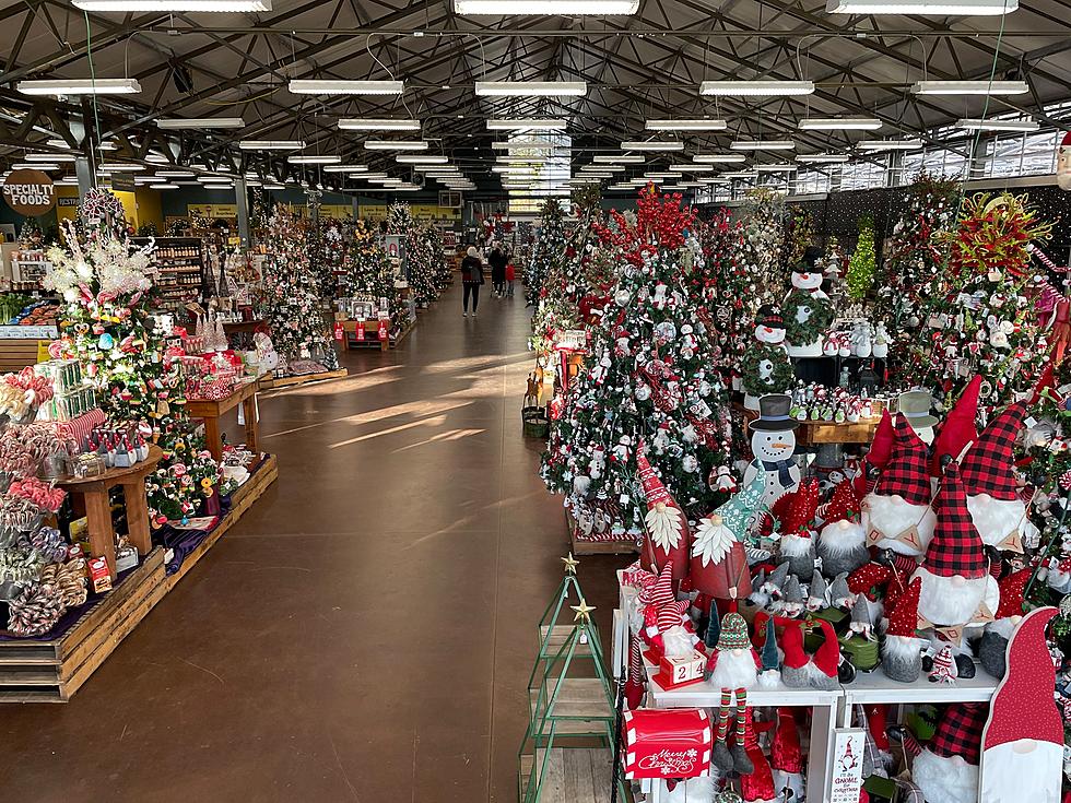 Stroll Through Christmas Wonderland of 35 Themed Trees in CNY