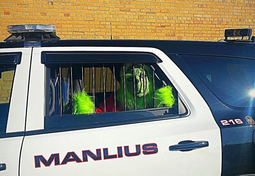 Not In Whoville But The Grinch Was Arrested In One CNY Town
