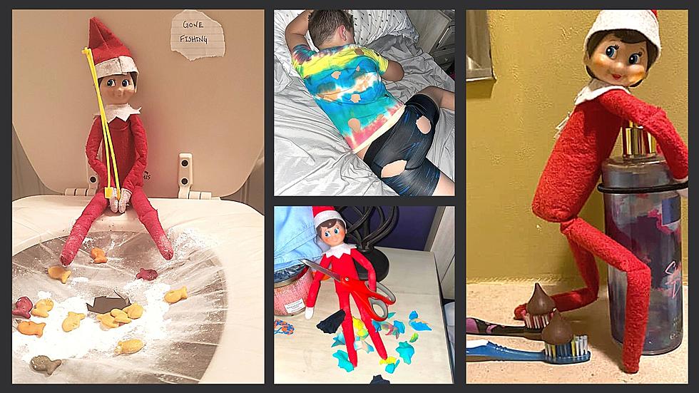 18 of Best Central New York Elf on the Shelf Shots This Holiday Season