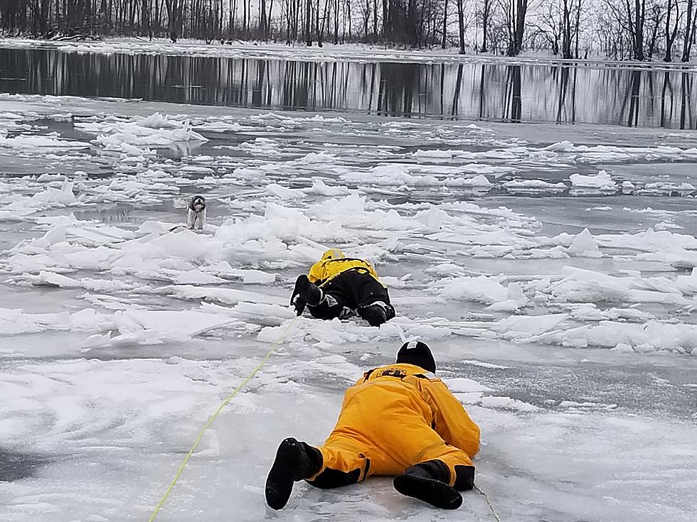 PHOTOS: Firefighters Crawl Across Icy CNY Pond to Save Dog Chasing Geese