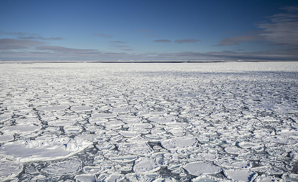 What Are Mysterious Ice Pancakes Seen Floating Along CNY Shores