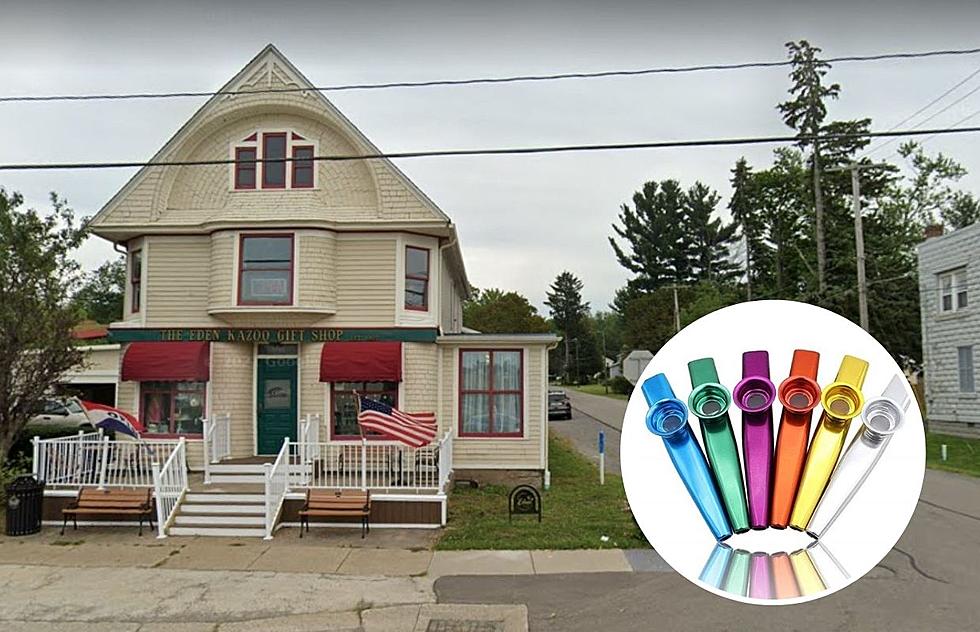 It’s National Kazoo Day! Tour The Original Factory Here In Upstate New York