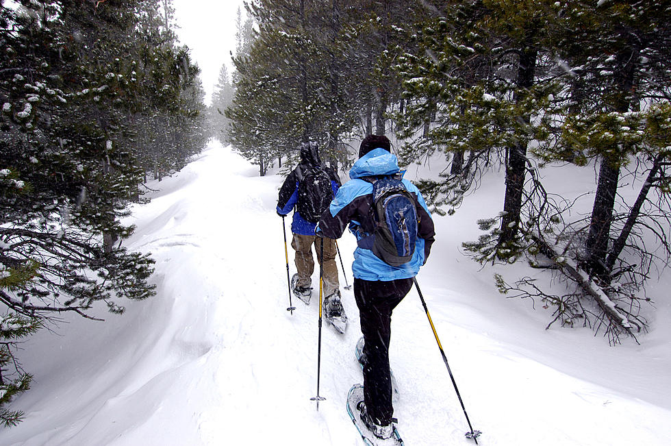 You Can Go Snowshoeing in CNY With Lions, Tigers & Bears, Oh My!