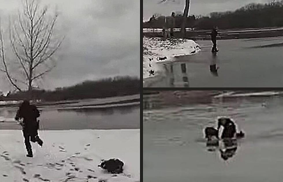 Watch NY Police Officer Pull Pooch From Icy Pond in Heroic Rescue