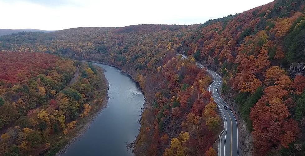 Windiest, Most Scenic NY Road is Perfect Place For Picturesque Fall Foliage
