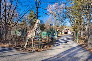 193 Acre Catskill Game Farm Up For Sale, Again