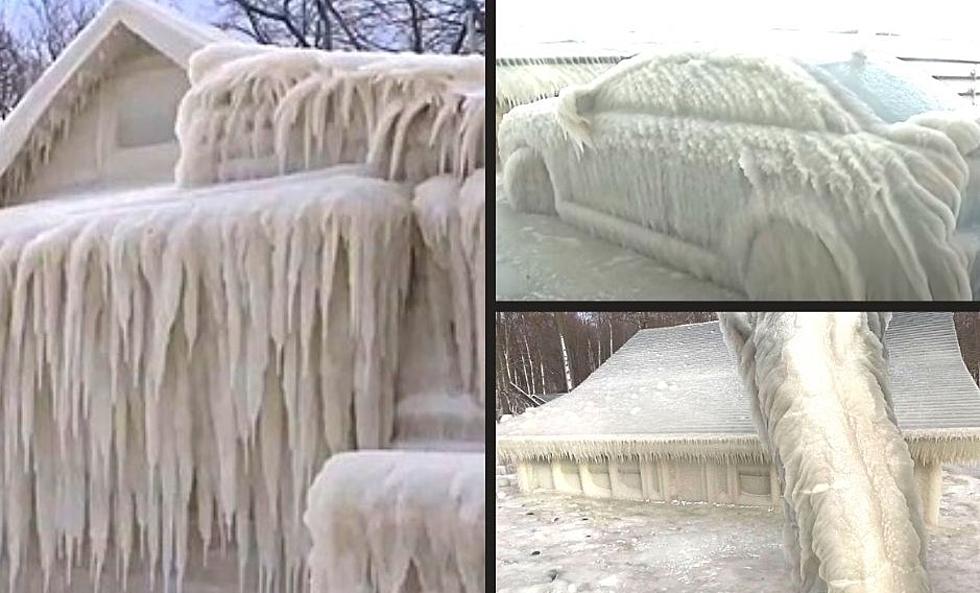 5 Frozen Moments in March When New York Looks Like Winter Won’t Let Go