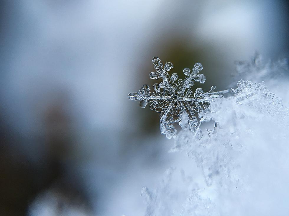 Think That Snow Squall CNY Just Recently Had Was Bad? Check Out This One From Lake Champlain