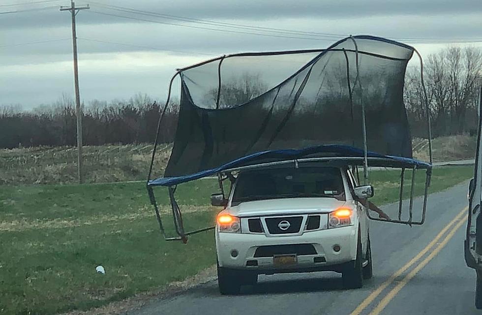 When You Find a Good Deal on a Trampoline in New York...