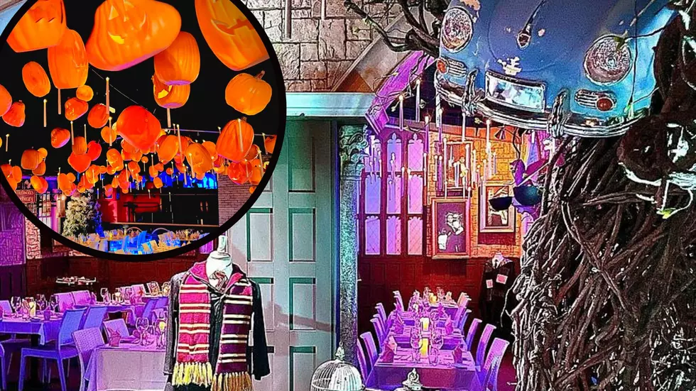 Dazzling Harry Potter Dining Room Few Hours From CNY Serves Up a Magical Meal