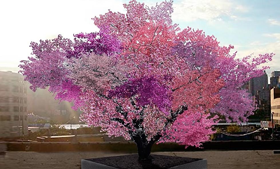 Tree of 40 Fruit Looks Like Something From Dr Seuss But It’s Real & It’s in New York