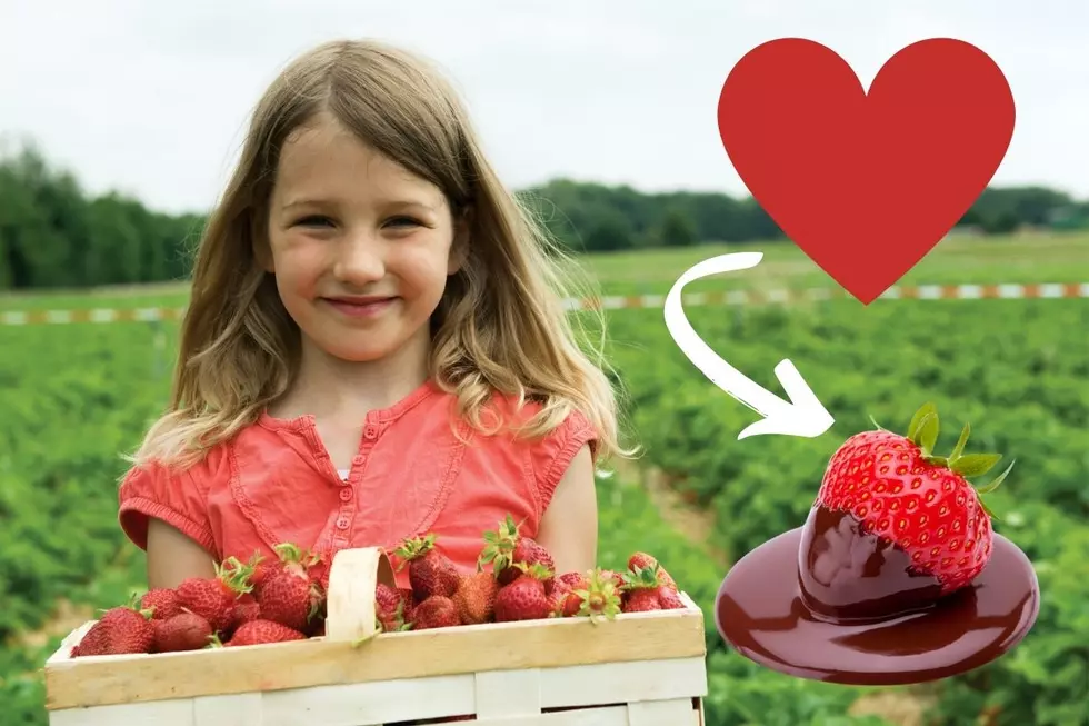 Obsessed With Strawberries? Head To This 67th Annual NY Festival