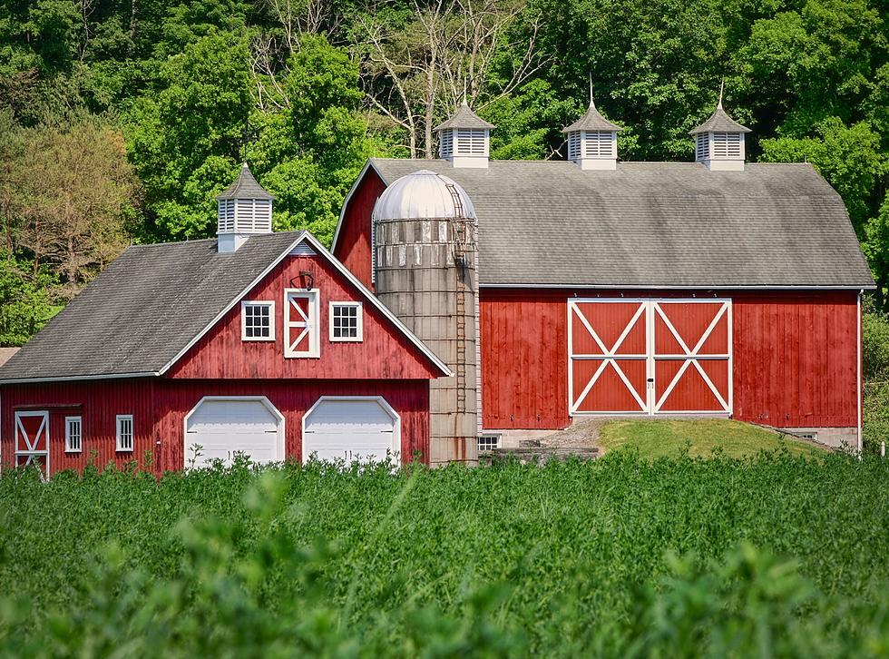 Real Reason Why Most Barns in New York Are Traditionally Painted Red