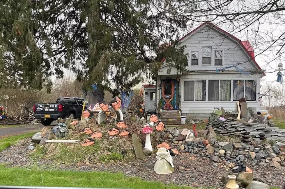 Yard Art? Rome Home Filled with Bizarre Lawn Display 