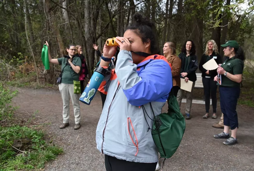 Love Bird Watching? Huge Segment Of NYS Bird Trail Opening In CNY