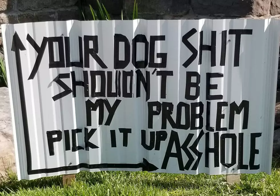 Credit - Carrie Mahoney-Nolan