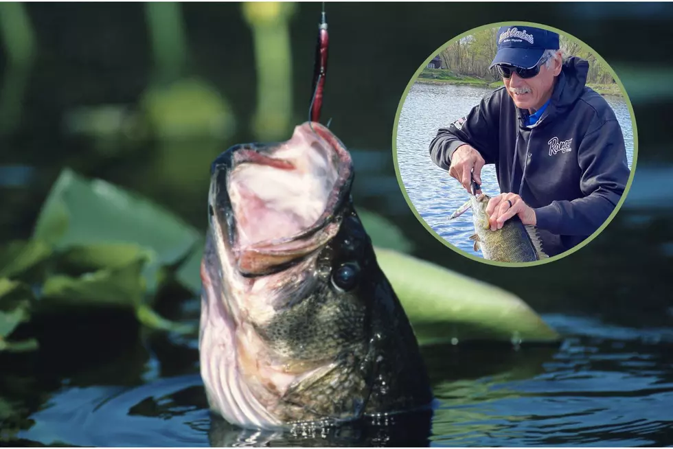 Famous Fisherman Caught How Many Bass On This Upstate NY River?