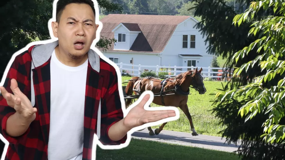 Forget the Buggy! Amish Seen Riding in Horse & Boat in Upstate NY