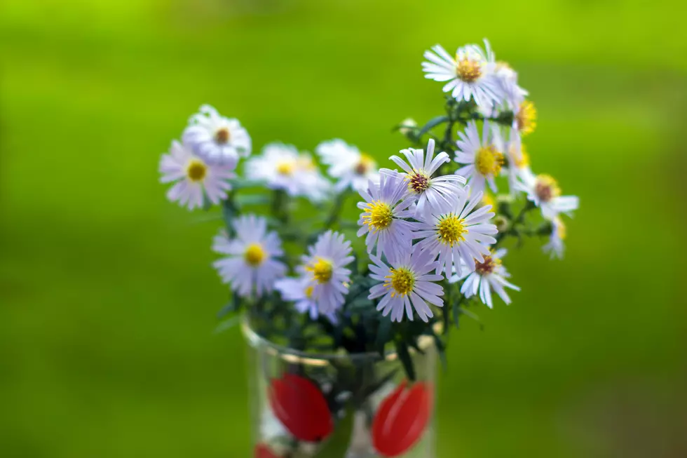 Take In The Beauty Of Flowers & Herbs At Festival In Oriskany