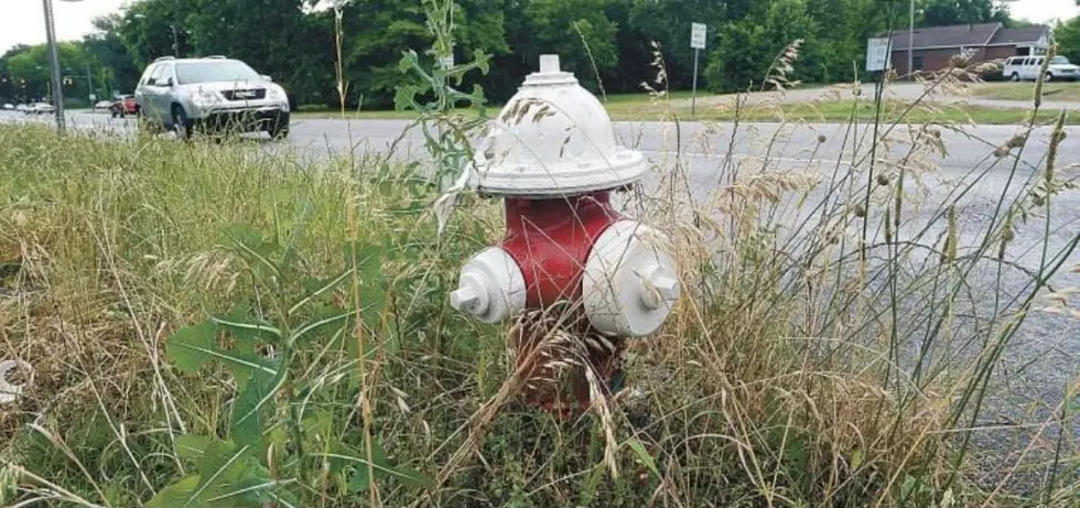 Why This CNY Fire Company Wants You To Mow Around Fire Hydrants