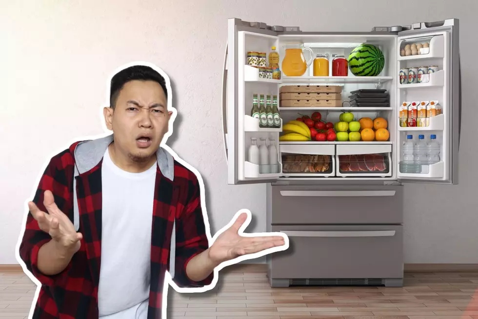 Not Cool! Why Does New York State Want To Ban Refrigerators?