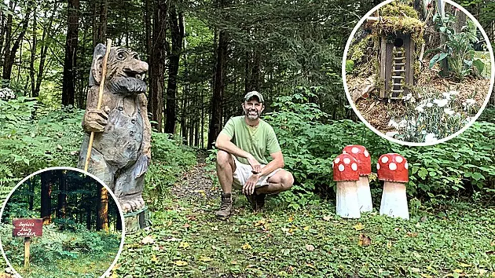 Magical Fairy Trail Through Central New York Forest is No More