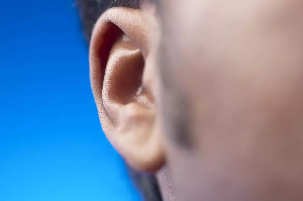 Did You Hear? Two New Yorkers Created The First 3D-Printed Ear