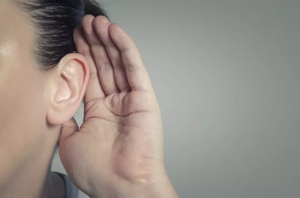 Did You Hear? Two New Yorkers Created The First 3D-Printed Ear