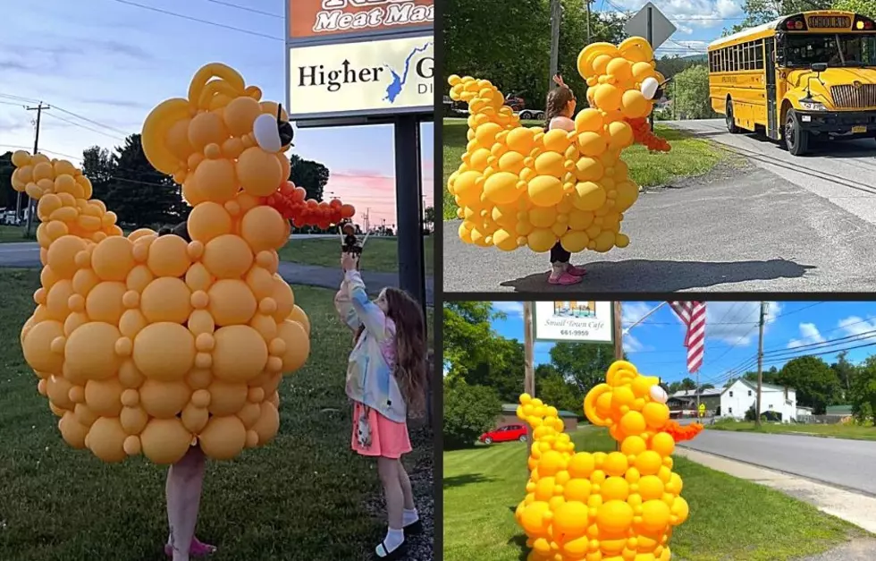What the Duck! Giant Balloon Duck Seen Waddling Around CNY