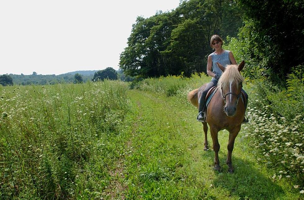 Local Horse Trail Ranked as One of the Best in New York State