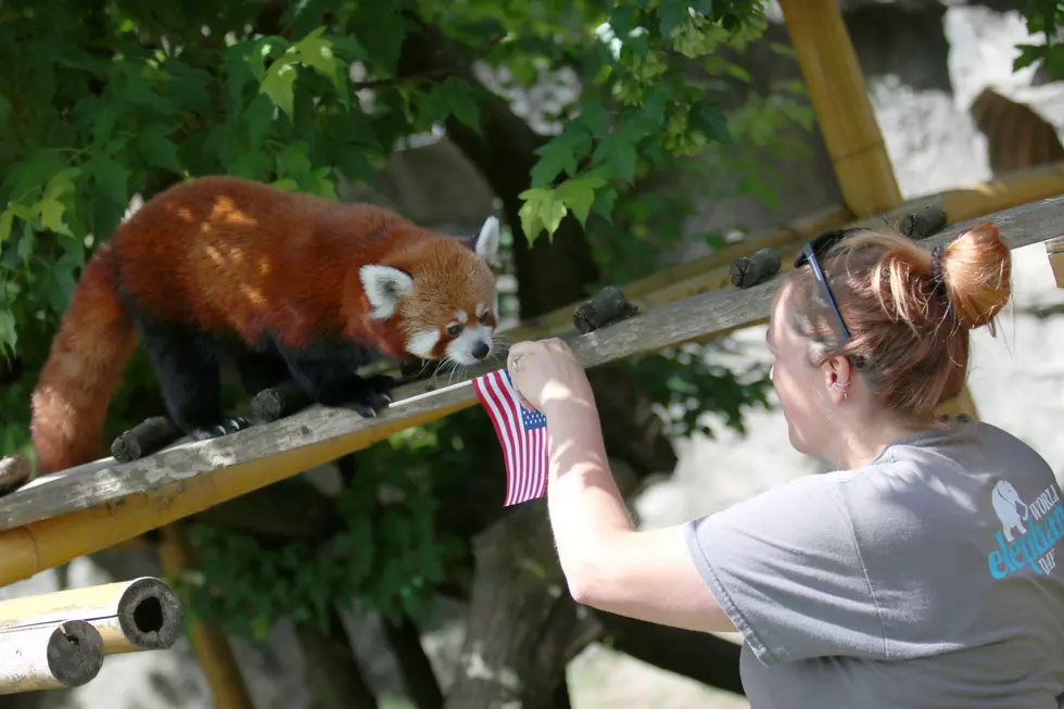 Celebrate National Zoo Keeper Week At These 5 Zoos in Central NY