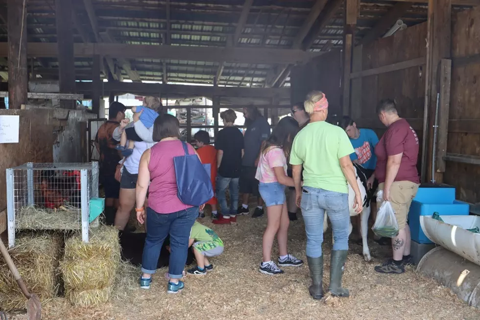 Enjoy All Madison County Farms Have To Offer With Open Farm Day
