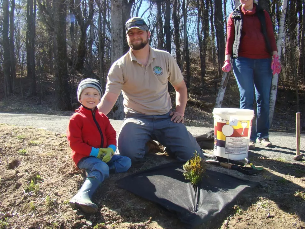 Central NY Town Granted Over $100 Thousand To Build A New Forest