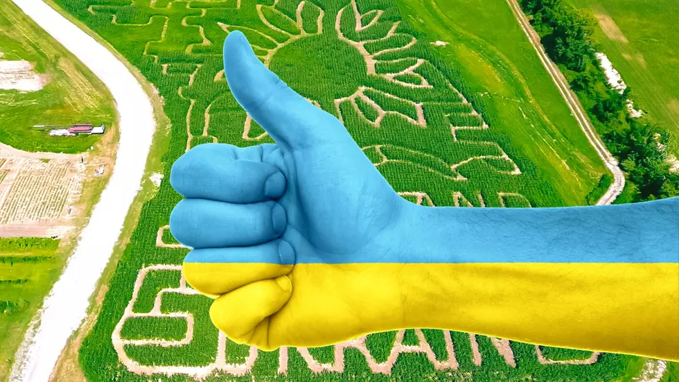 Touching Corn Maze Tribute on New York Farm Supports Ukraine & You Can Too