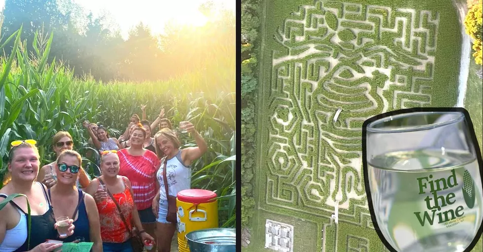 Find the Wine Inside 2 A-Maze-Ing NY Corn Maze Adventures