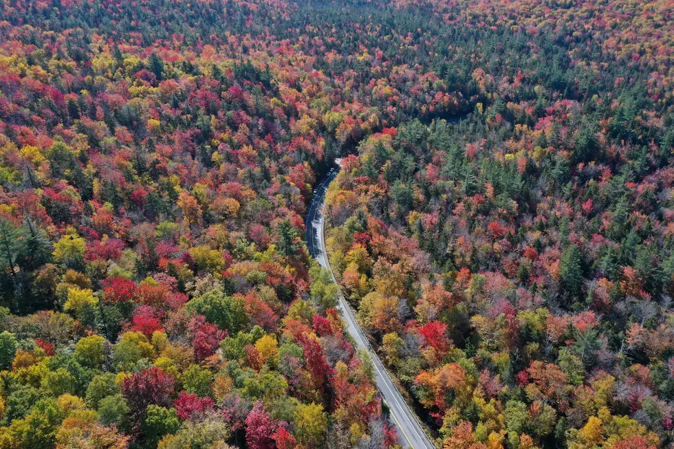 This Upstate New York Highway Offers the State’s Most Magical Fall Foliage Views