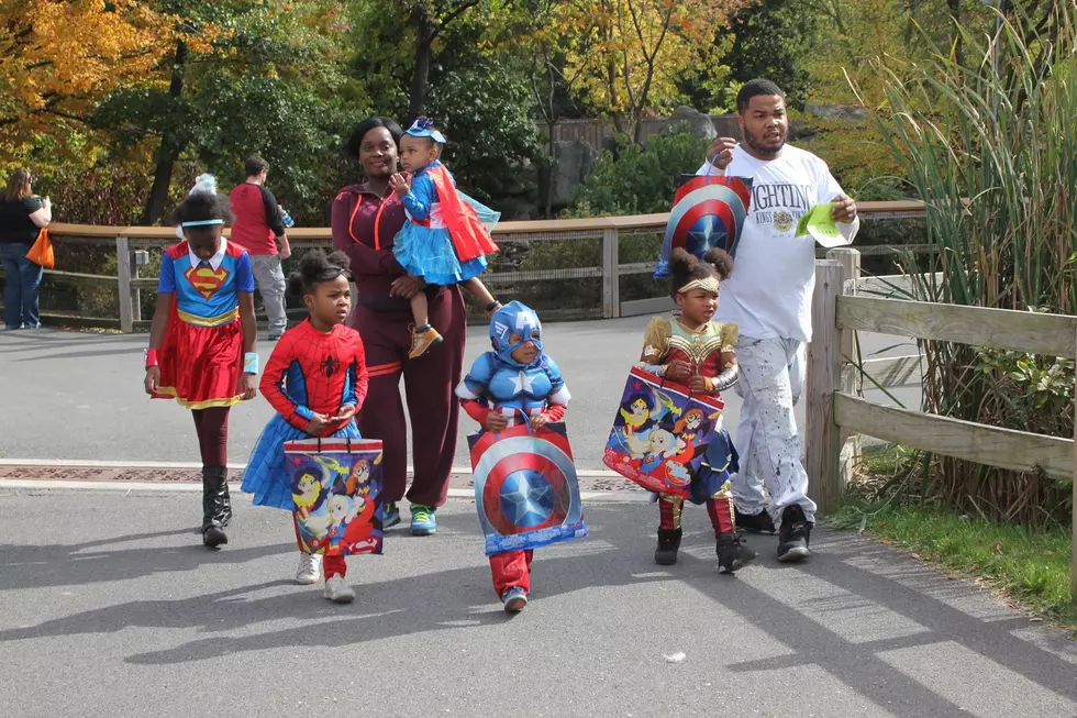 Annual Zoo Boo Halloween Celebration Returning To This CNY Zoo