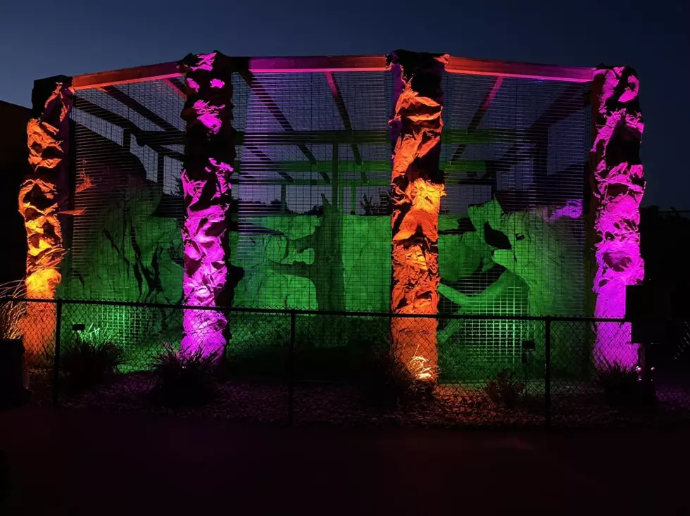 Something New &#038; Spooky Coming to Wild Animal Park for Halloween