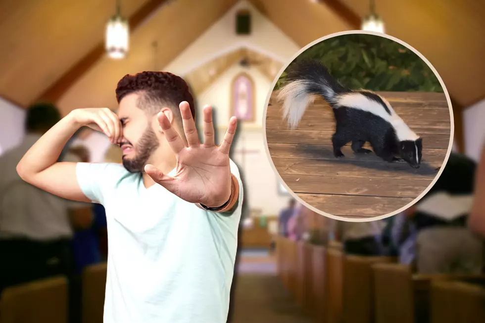 Quiet As A Church... Skunk? One Snuck Into This New York Church