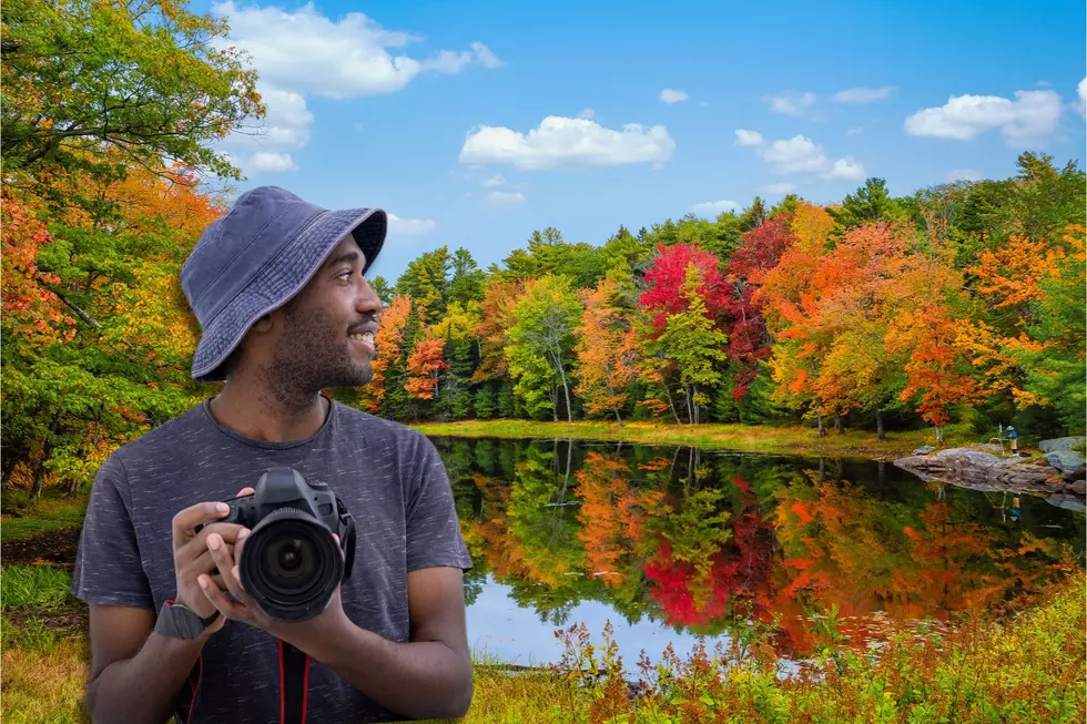 Grab Your Camera! DEC Hosting Not One, But Two Foliage Photo Contests