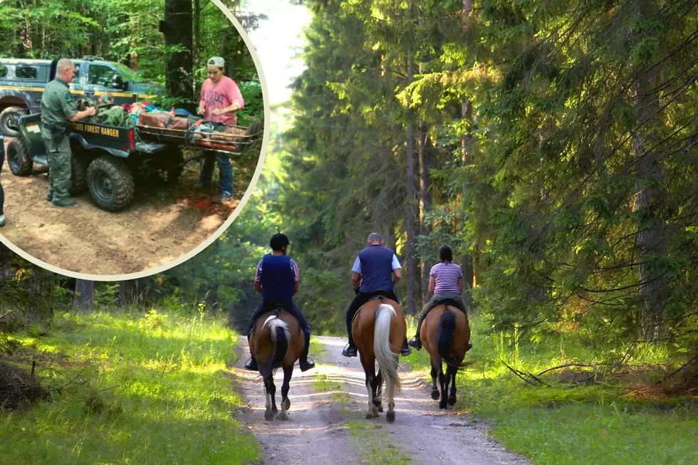 Rangers Save Woman After Horse Throws Her On New York Hiking Trail
