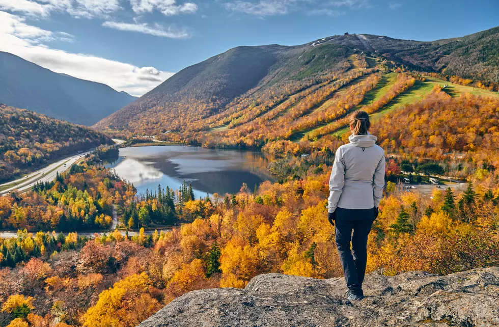 Can You Be-Leave It? New York Not Listed In Top 10 Foliage Destinations