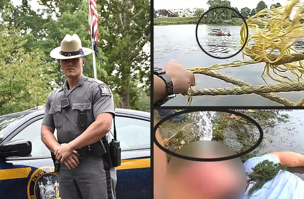 Unbelievable Underwater Rescue in NY Pond Will Leave Your Heart Pounding