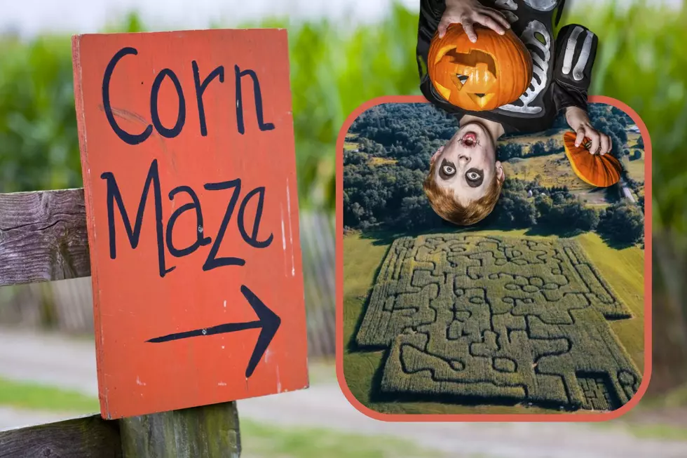 It’s Two Nights of Spooky Fun at This Central New York Haunted Maze