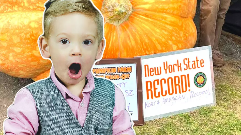 That's One Great Pumpkin! New York Farmer Grows Record Breaker