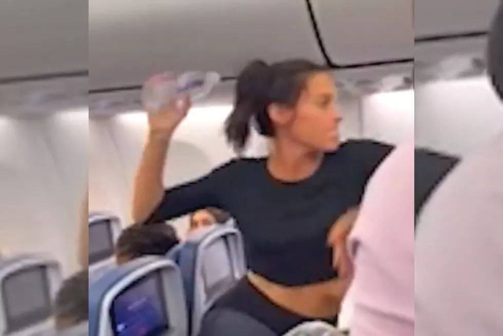 WATCH: Karen Goes Ballistic on Flight to JFK Over Her Dog